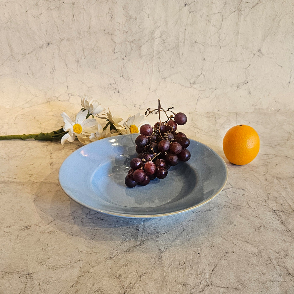 Pasta Plate 11 inch - Powder Blue - Vintage Paris