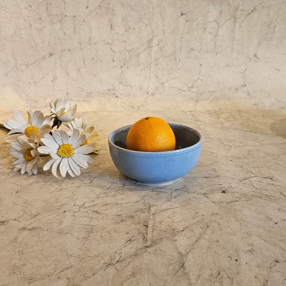 Portion Bowl 5 inch - Powder Blue - Vintage Paris