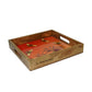 Tray (Square) Bees in Paradise - Carrot