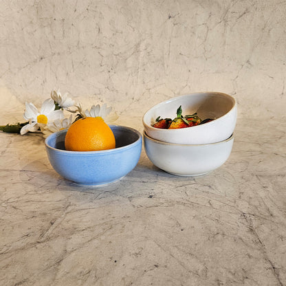 Portion Bowl 5 inch - Powder Blue - Vintage Paris